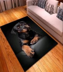 EXCELLENT Originální kusový koberec 120x180 cm - Rottweiler